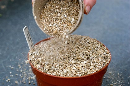 Vermiculite