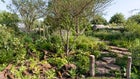 Thumbnail for slide 2