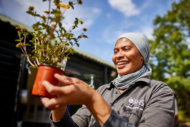 Gardening for health and wellbeing