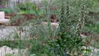 Thumbnail for slide 3