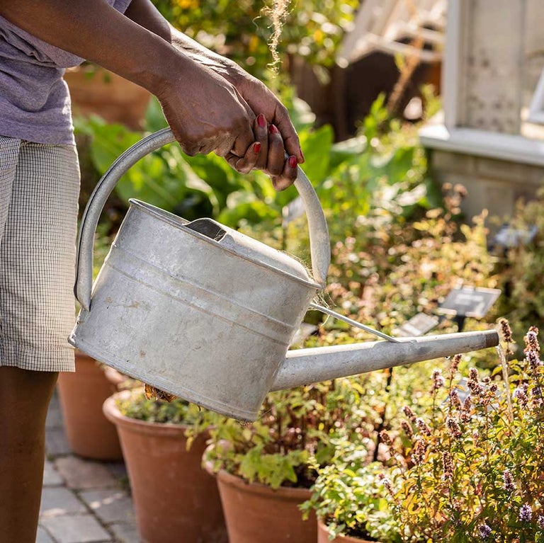 Managing water in your garden