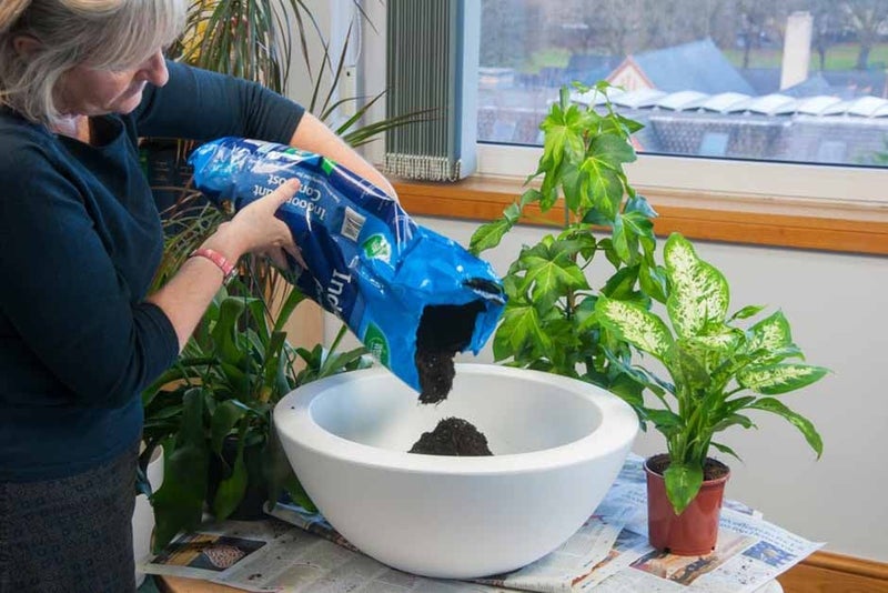 Indoor plant potting mixes