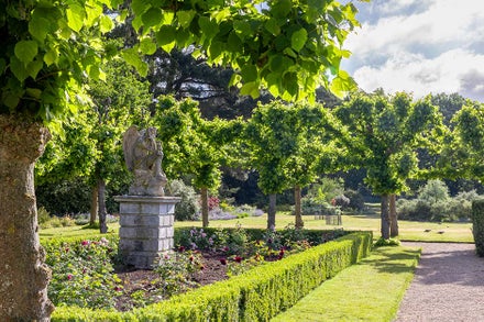 A statue in a garden