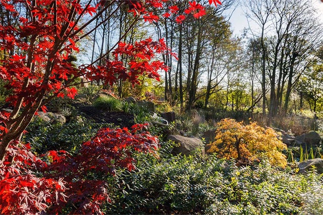 The Chinese Streamside Garden at RHS Bridgewater