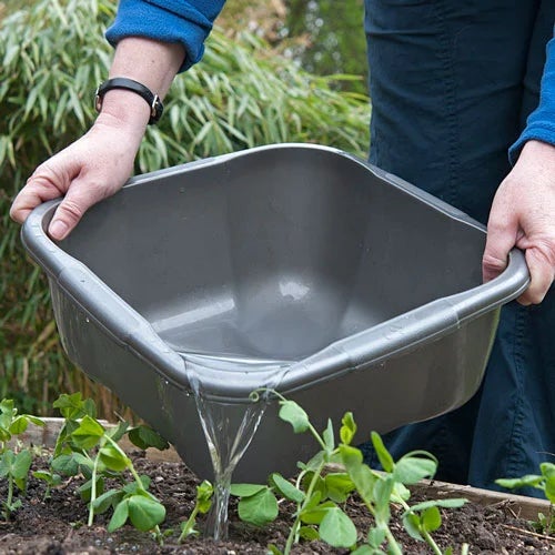 More water management advice for gardeners