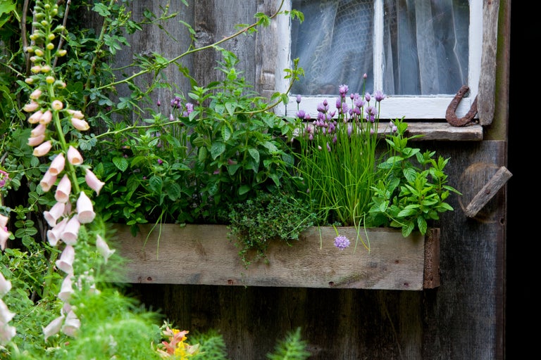 How to create a budget-friendly garden