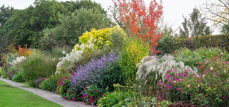 The new autumn palette