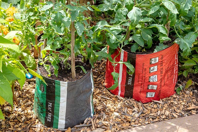 Peat-free gardening hub