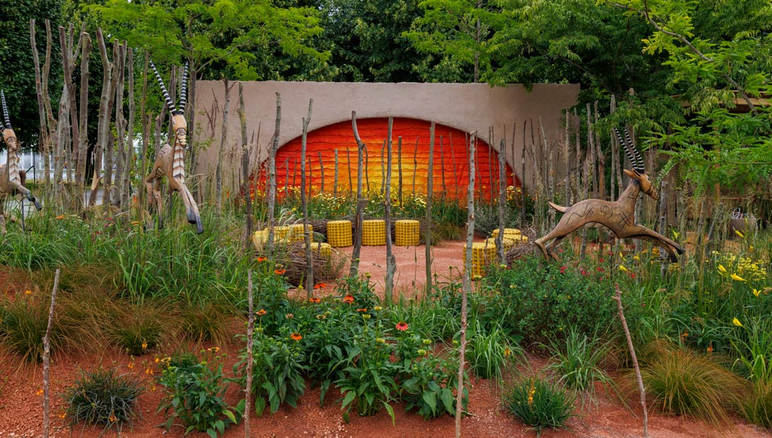 A garden with plants and trees