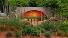 Thumbnail: A garden with plants and trees