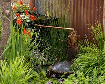 Water features from RHS Sandringham
