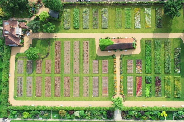 Learn more about RHS Plant Trials and Awards