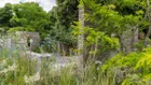 Thumbnail for slide 1