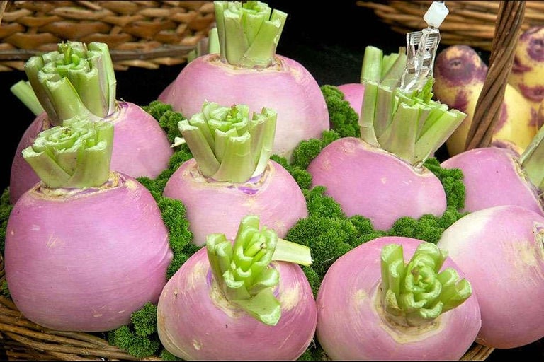 Buy turnips at RHSplants.co.uk