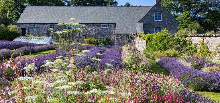 Mothecombe Gardens: where the bees are heard