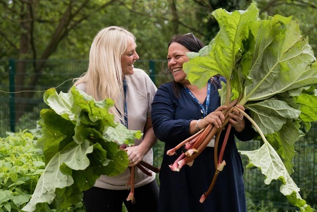 Grow in your community with the RHS