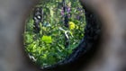 Thumbnail for slide 2