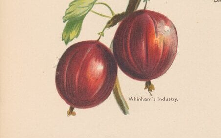 'Whinham’s Industry' AGM