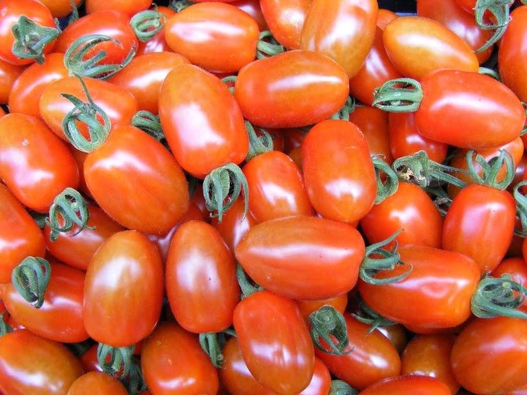 10 award-winning cherry tomatoes