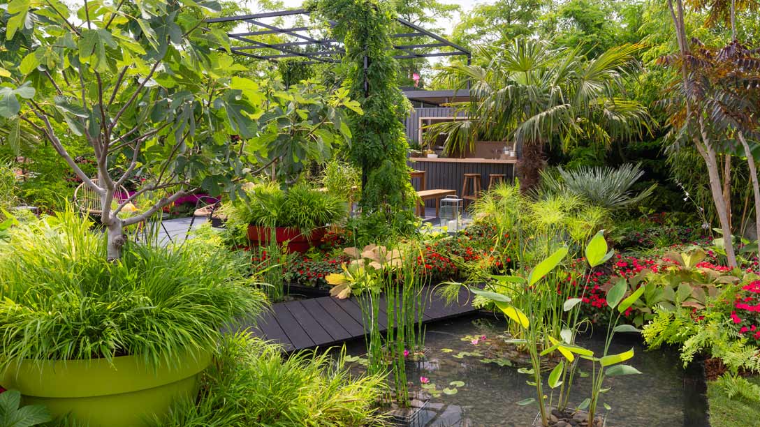 A pond with plants and a bar