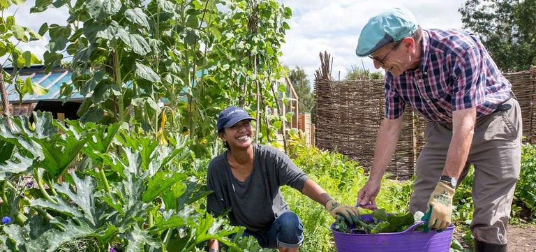 Gardening after a stroke