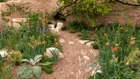 Thumbnail for slide 3