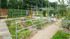 Thumbnail for slide 1
