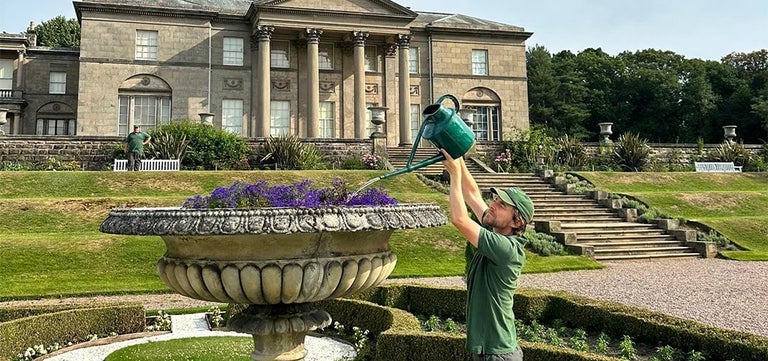 Alcohol stole my life, but gardening has filled the void