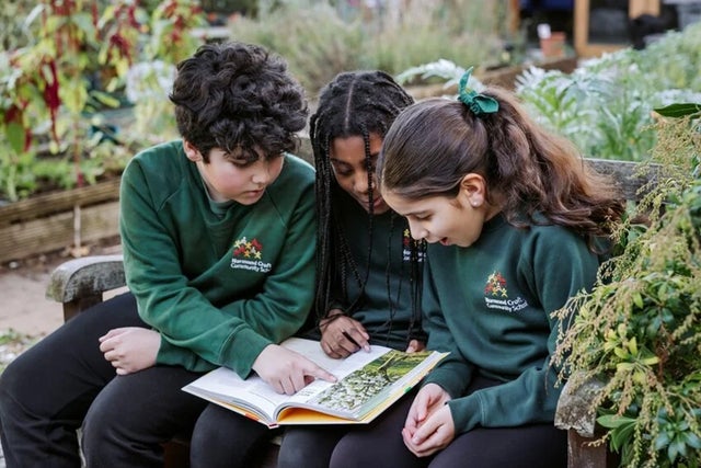 School gardening