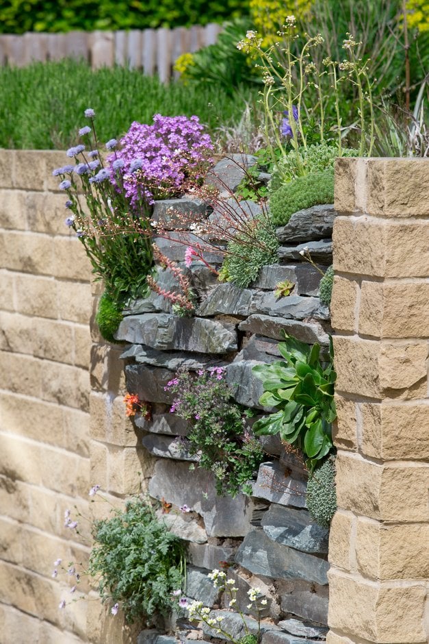 Stone and coast habitats