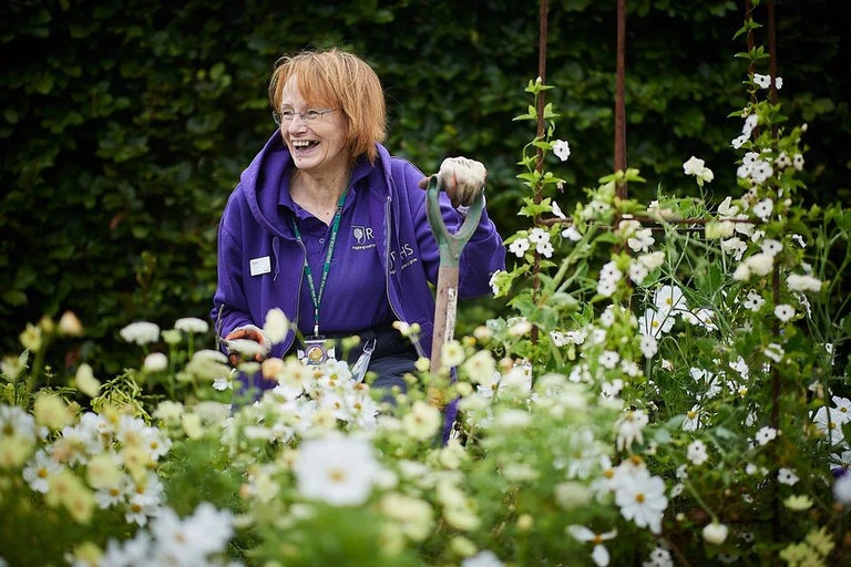 Volunteer with the RHS