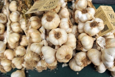 Bulbs of garlic