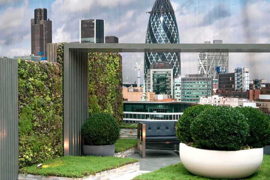 Intensive green roof