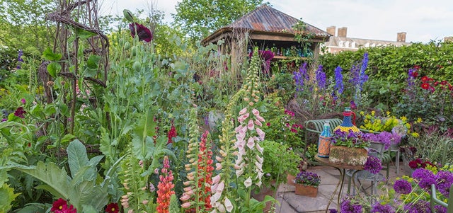 Make a wild and romantic garden