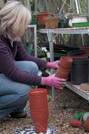 Pot cleaning