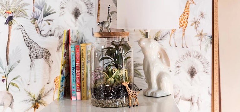 Make a mini jungle terrarium