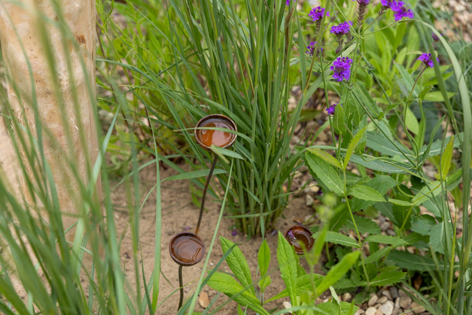 Naturally Resilient: Inspired by the Norfolk Coast