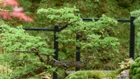Thumbnail for slide 4