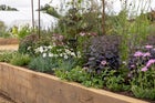Thumbnail: Nurture Nature – Nature Nurtures