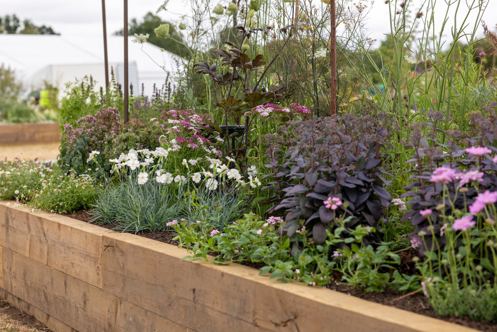 Nurture Nature – Nature Nurtures