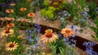Thumbnail for slide 4