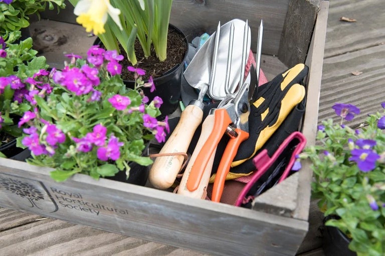 Take up one of our RHS qualifications and begin a career in horticulture