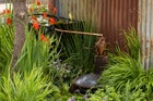 Thumbnail: The Rhythm of Rainwater