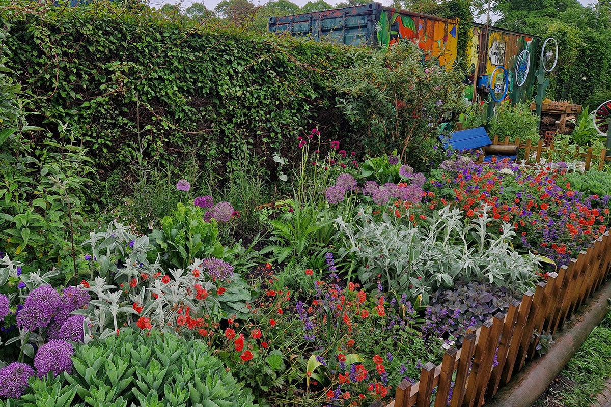 Redcatch Community Garden in Bristol