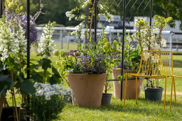 Explore all the gardens at the show