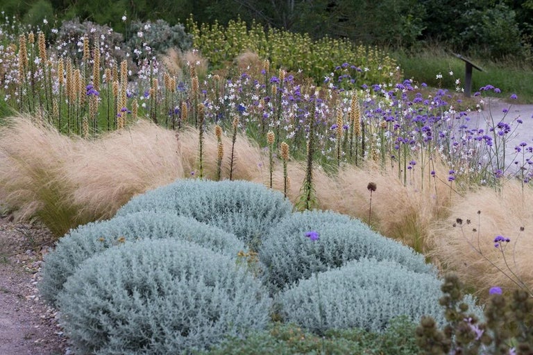 Garden design ideas and inspiration