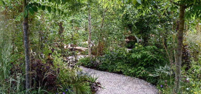 Top tips to create a forest bathing garden