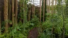Thumbnail for slide 3