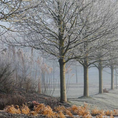 Assessing your microclimate