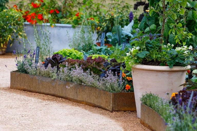 Top tips for growing your own fruit, veg and herbs
